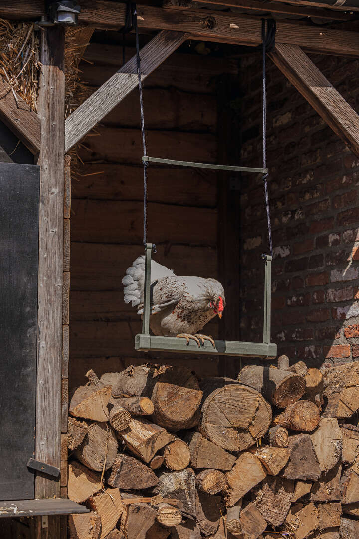 beeztees Hühnerschaukel